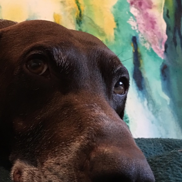 Meet your Posher, Mallory - Picture 3 of 3